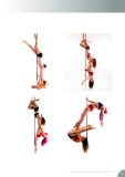 Doubles Pole Bible 2da edicion